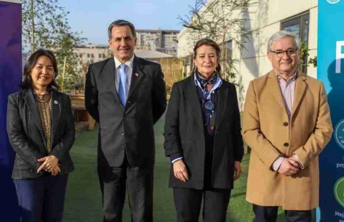 Chile impulsará histórico plan de USD 39 millones para masificar la agricultura y ganadería regenerativa Chile impulsará histórico plan de USD 39 millones para masificar la agricultura y ganadería regenerativa
