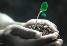 Chile quiere liderar la próxima revolución de las semillas con más genética e innovación