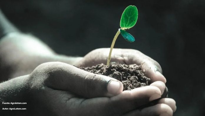 Chile quiere liderar la próxima revolución de las semillas con más genética e innovación Chile quiere liderar la próxima revolución de las semillas con más genética e innovación