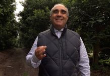 Columna de opinión | Resiliencia agrícola frente a los temporales: El suelo como defensa Columna de opinión | Resiliencia agrícola frente a los temporales: El suelo como defensa