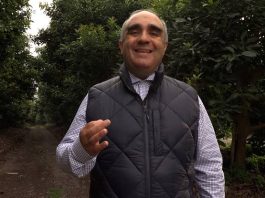 Columna de opinión | Resiliencia agrícola frente a los temporales: El suelo como defensa Columna de opinión | Resiliencia agrícola frente a los temporales: El suelo como defensa