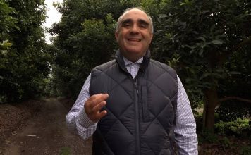 Columna de opinión | Resiliencia agrícola frente a los temporales: El suelo como defensa Columna de opinión | Resiliencia agrícola frente a los temporales: El suelo como defensa