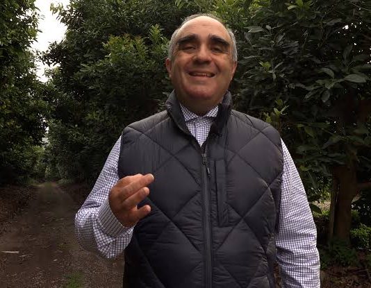 Columna de opinión | Resiliencia agrícola frente a los temporales: El suelo como defensa Columna de opinión | Resiliencia agrícola frente a los temporales: El suelo como defensa