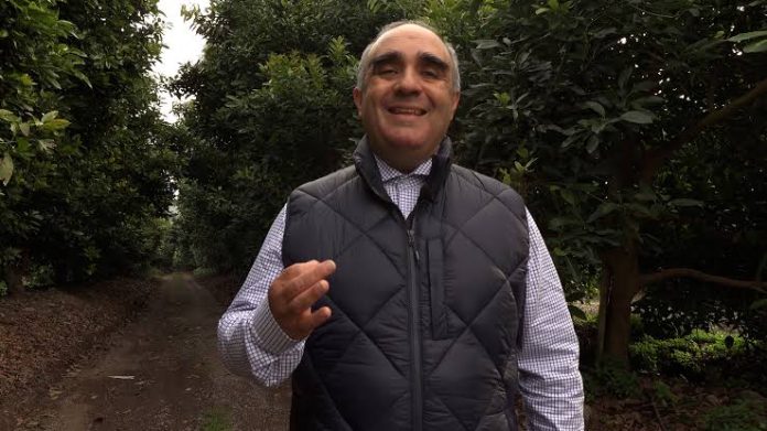 Christian Velásquez Columna de opinión | Resiliencia agrícola frente a los temporales: El suelo como defensa