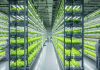 Cómo Qatar reinventó su agricultura con nuevas tecnologías que permiten cubrir hasta el 90% de sus productos frescos Cómo Qatar reinventó su agricultura con nuevas tecnologías que permiten cubrir hasta el 90% de sus productos frescos