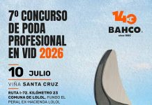 Concurso de Poda Profesional reunirá a especialistas para promover las mejores prácticas en fruticultura Concurso de Poda Profesional reunirá a especialistas para promover las mejores prácticas en fruticultura