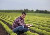 Conectividad rural y nuevas formas de entretenimiento digital en Chile Conectividad rural y nuevas formas de entretenimiento digital en Chile, 1win casino