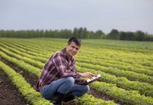Conectividad rural y nuevas formas de entretenimiento digital en Chile Conectividad rural y nuevas formas de entretenimiento digital en Chile, 1win casino