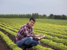 Conectividad rural y nuevas formas de entretenimiento digital en Chile Conectividad rural y nuevas formas de entretenimiento digital en Chile, 1win casino