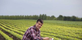 Conectividad rural y nuevas formas de entretenimiento digital en Chile, 1win casino