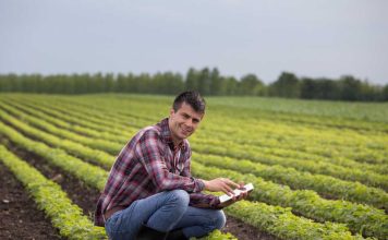 Conectividad rural y nuevas formas de entretenimiento digital en Chile, 1win casino