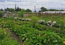 XI Congreso Latinoamericano de Agroecología 2026 Universidad de Chile será sede del XI Congreso Latinoamericano de Agroecología 2026