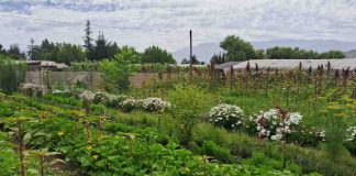 XI Congreso Latinoamericano de Agroecología 2026 Universidad de Chile será sede del XI Congreso Latinoamericano de Agroecología 2026