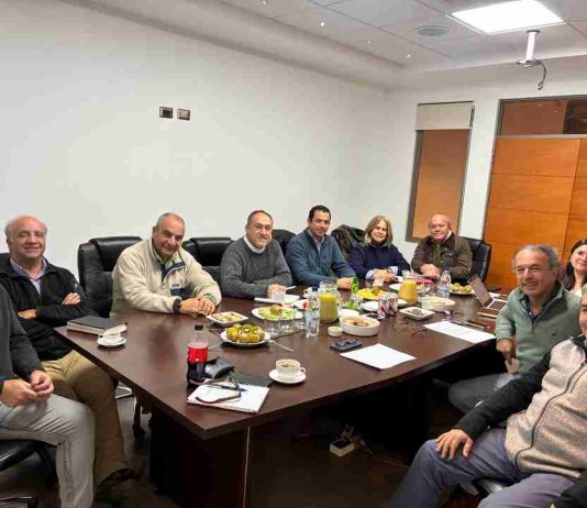 Consejo Regional GTT Maule define los lineamientos del Encuentro Regional y fortalece el trabajo colaborativo para el desarrollo de la fruticultura Consejo Regional GTT Maule define los lineamientos del Encuentro Regional y fortalece el trabajo colaborativo para el desarrollo de la fruticultura