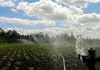Consorcio Agrícola del Sur pide al Estado invertir en embalses tras declaraciones del ministro Campos