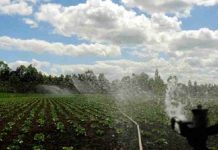 Consorcio Agrícola del Sur pide al Estado invertir en embalses tras declaraciones del ministro Campos