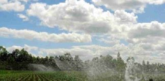 Consorcio Agrícola del Sur pide al Estado invertir en embalses tras declaraciones del ministro Campos Consorcio Agrícola del Sur pide al Estado invertir en embalses tras declaraciones del ministro Campos