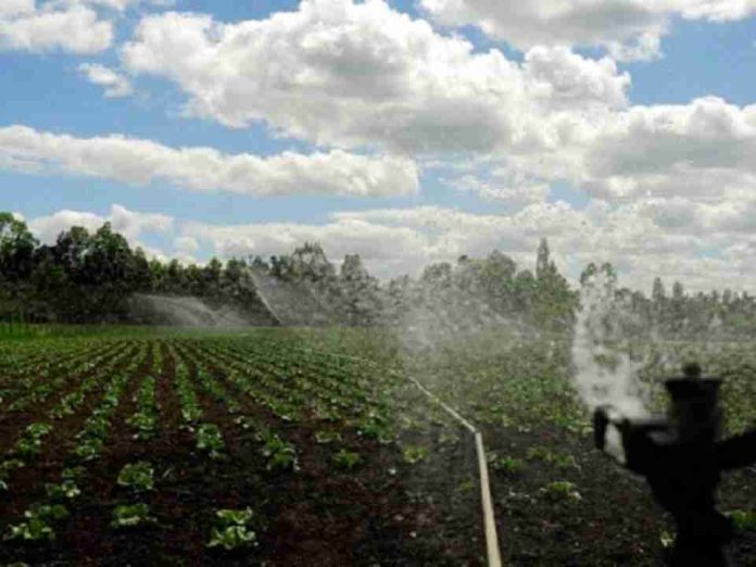Consorcio Agrícola del Sur pide al Estado invertir en embalses tras declaraciones del ministro Campos Consorcio Agrícola del Sur pide al Estado invertir en embalses tras declaraciones del ministro Campos