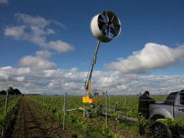 Control de heladas en frutales: La tecnología de hélices de Zimex clave ante la inminente brotación de agosto Control de heladas en frutales: La tecnología de hélices de Zimex clave ante la inminente brotación de agosto