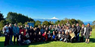 Cuatro años de trabajo conjunto consolidan a la Región de Los Lagos como referente de la carne bovina nacional Cuatro años de trabajo conjunto consolidan a la Región de Los Lagos como referente de la carne bovina nacional