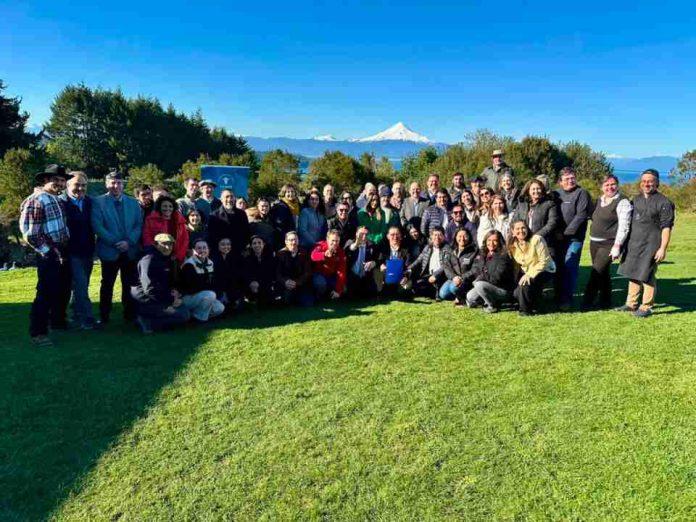 Cuatro años de trabajo conjunto consolidan a la Región de Los Lagos como referente de la carne bovina nacional Cuatro años de trabajo conjunto consolidan a la Región de Los Lagos como referente de la carne bovina nacional