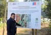 Reportaje | Cuncumén: laboratorio vivo donde el IICA Chile demuestra que regenerar suelos también es cosechar futuro Cuncumén