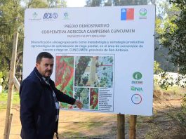 Reportaje | Cuncumén: laboratorio vivo donde el IICA Chile demuestra que regenerar suelos también es cosechar futuro Cuncumén