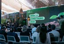 Desafío Conectagro lanza sexta edición con fondo de $10 millones para impulsar agricultura sostenible Desafío Conectagro lanza sexta edición con fondo de $10 millones para impulsar agricultura sostenible