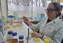 Desde la ciencia buscan aplicar probiótico para curar heridas en mascotas que son provocadas por bacterias nosocomiales y multirresistentes a antibióticos