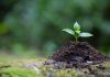 Día Internacional de la Conservación del Suelo: un llamado a repensar el vínculo entre alimentación, tierra y vida Día Internacional de la Conservación del Suelo un llamado a repensar el vínculo entre alimentación, tierra y vida