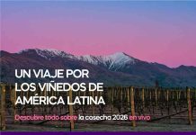 Directo del Viñedo 2026 será este miércoles 22 de julio Directo del Viñedo 2026 será este miércoles 22 de julio