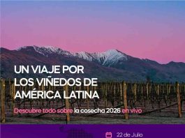 Directo del Viñedo 2026 será este miércoles 22 de julio Directo del Viñedo 2026 será este miércoles 22 de julio