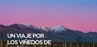 Directo del Viñedo 2026 será este miércoles 22 de julio
