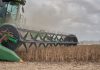 El Niño golpeará con fuerza a estos cuatro países y pone en alerta al agro de América Latina