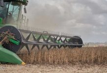 El Niño golpeará con fuerza a estos cuatro países y pone en alerta al agro de América Latina