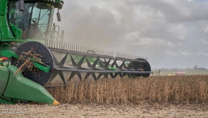 El Niño golpeará con fuerza a estos cuatro países y pone en alerta al agro de América Latina El Niño golpeará con fuerza a estos cuatro países y pone en alerta al agro de América Latina