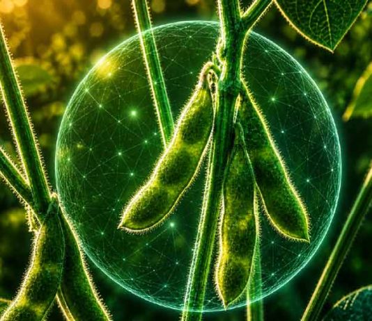El conocimiento detrás de los bioestimulantes: la propuesta de Timac Agro para una agricultura más eficiente El conocimiento detrás de los bioestimulantes: la propuesta de Timac Agro para una agricultura más eficiente
