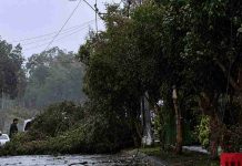 El sector hortícola del Limarí enfrenta pérdidas importantes tras el histórico sistema frontal El sector hortícola del Limarí enfrenta pérdidas importantes tras el histórico sistema frontal