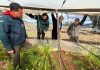Emergencia Agrícola: INDAP refuerza trabajo en terreno para catastrar daños y acelerar apoyos tras sistema frontal Emergencia Agrícola: INDAP refuerza trabajo en terreno para catastrar daños y acelerar apoyos tras sistema frontal