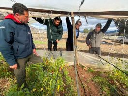 Emergencia Agrícola: INDAP refuerza trabajo en terreno para catastrar daños y acelerar apoyos tras sistema frontal Emergencia Agrícola: INDAP refuerza trabajo en terreno para catastrar daños y acelerar apoyos tras sistema frontal