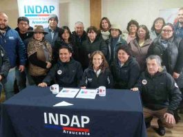 En Día de las Cooperativas INDAP renueva alianza con agricultores que exportaron 440 toneladas de frambuesas En Día de las Cooperativas INDAP renueva alianza con agricultores que exportaron 440 toneladas de frambuesas