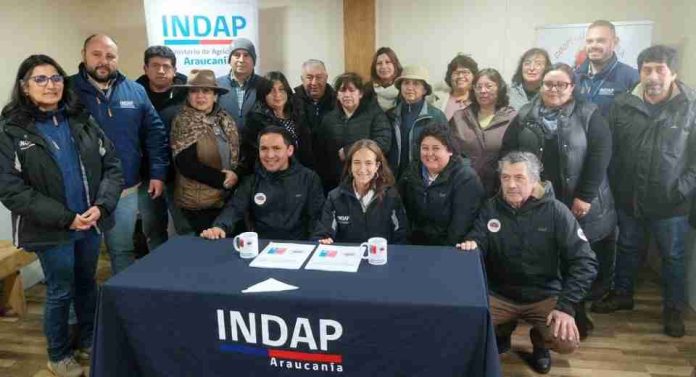En Día de las Cooperativas INDAP renueva alianza con agricultores que exportaron 440 toneladas de frambuesas En Día de las Cooperativas INDAP renueva alianza con agricultores que exportaron 440 toneladas de frambuesas