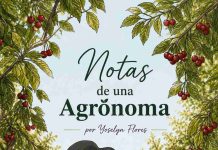 Entre la lluvia y el frío: ¿cómo despertarán nuestros frutales? Entre la lluvia y el frío: ¿cómo despertarán nuestros frutales?
