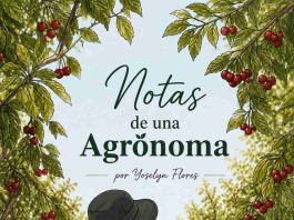 Entre la lluvia y el frío: ¿cómo despertarán nuestros frutales? Entre la lluvia y el frío: ¿cómo despertarán nuestros frutales?