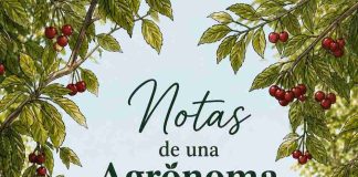 Entre la lluvia y el frío: ¿cómo despertarán nuestros frutales? Entre la lluvia y el frío: ¿cómo despertarán nuestros frutales?