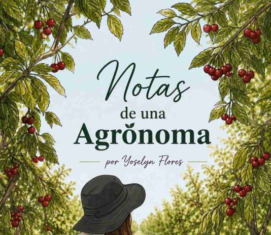 Entre la lluvia y el frío: ¿cómo despertarán nuestros frutales? Entre la lluvia y el frío: ¿cómo despertarán nuestros frutales?