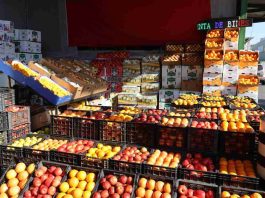 Este invierno se registra alta disponibilidad de cítricos y un abastecimiento estable de manzanas para el invierno