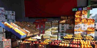 Este invierno se registra alta disponibilidad de cítricos y un abastecimiento estable de manzanas para el invierno Este invierno se registra alta disponibilidad de cítricos y un abastecimiento estable de manzanas para el invierno