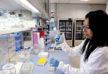 Europa deja de poner puertas al campo de la edición genómica Europa deja de poner puertas al campo de la edición genómica