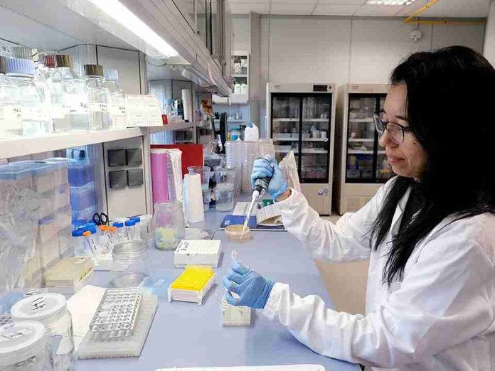 Europa deja de poner puertas al campo de la edición genómica Europa deja de poner puertas al campo de la edición genómica